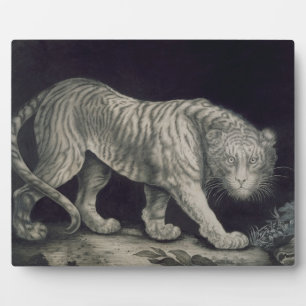 Plaque Photo Un tigre à ressort (crayon sur papier)