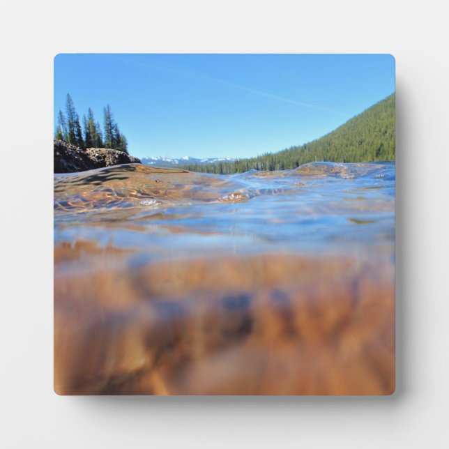 Plaque Photo Underwater View (Devant)