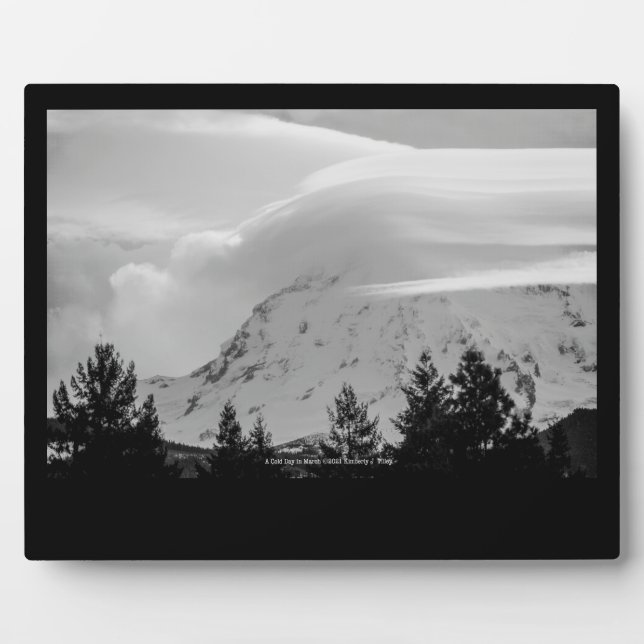 Plaque Photo Une journée froide en mars (Devant)