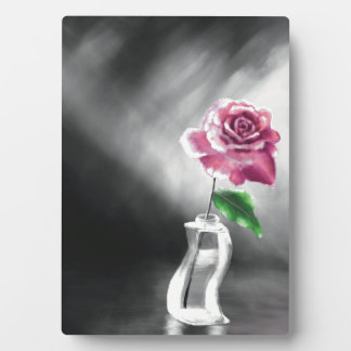 Plaque Photo Une rose unique
