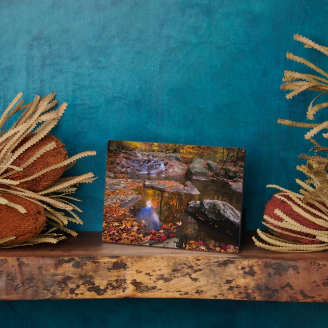 Plaque Photo Upper Whiteoak Falls, Parc national de Shenandoah, (Côté)
