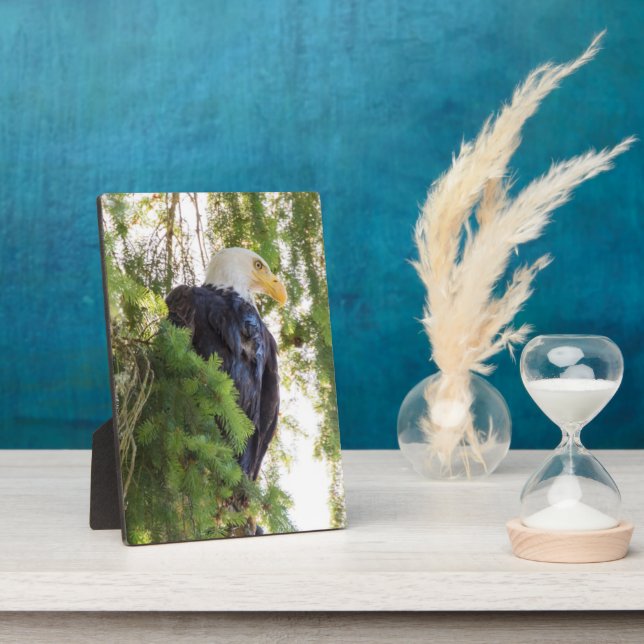 Plaque Photo US48 TDR1627.jpg (Côté)