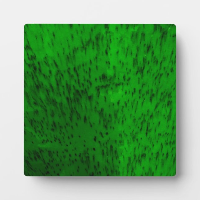 Plaque Photo Vaisselle en terre cuite vert citron (Devant)