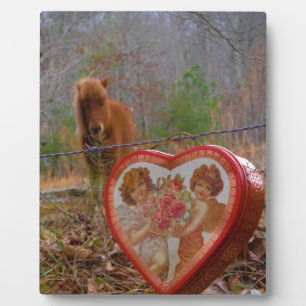 Plaque Photo Valentine Heart Miniature Brown Horse