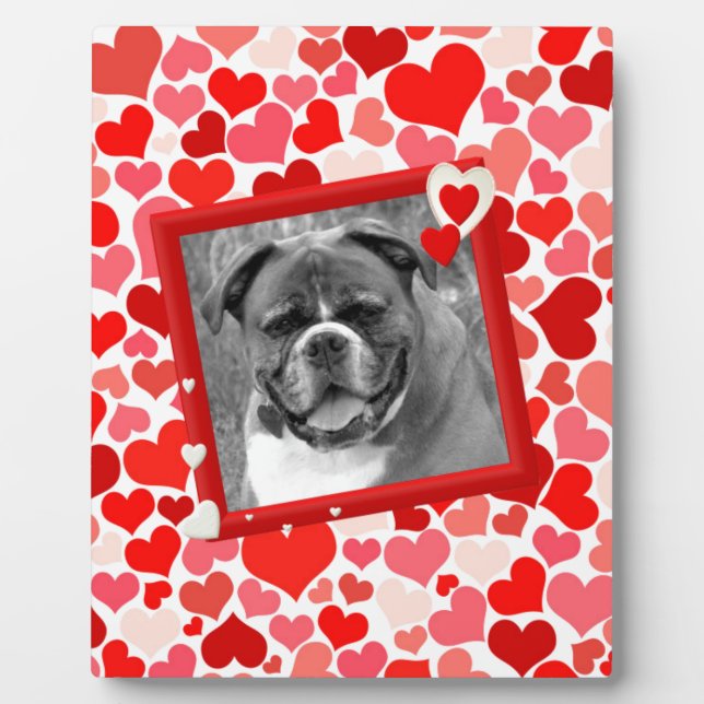 Plaque Photo Valentines Boxer Chien Coeurs (Devant)