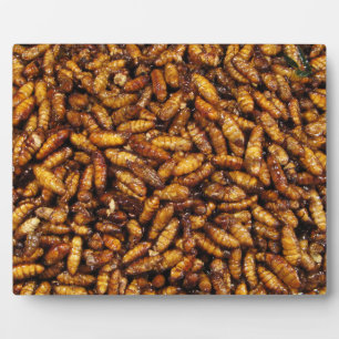 Plaque Photo Vers de soie frits ... Thai Street Food