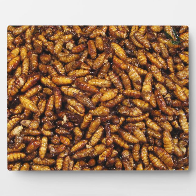 Plaque Photo Vers de soie frits ... Thai Street Food (Devant)