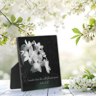 Plaque Photo Verset biblique inspirant