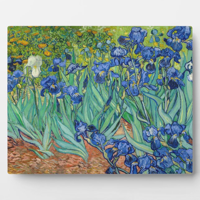 Plaque Photo Vincent Van Gogh - Iris (Devant)