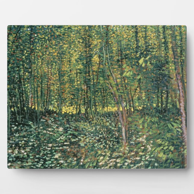 Plaque Photo Vincent van Gogh | Trees and Undergrowth 1887 (Devant)