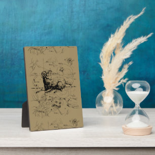 Plaque Photo Vintage Aries Constellation Carte Hevelius 1690