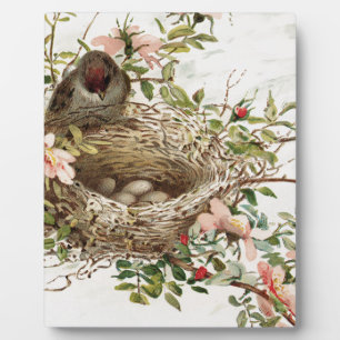 Plaque Photo Vintage Bird in Nest Poster de animal
