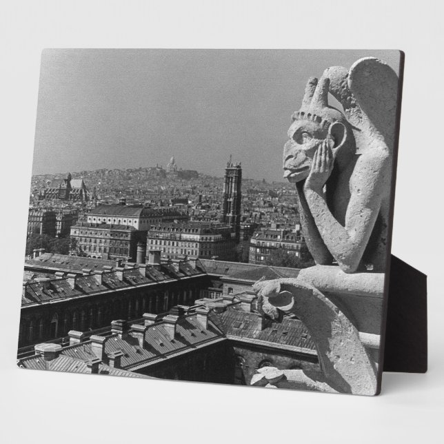 Plaque Photo Vintage France Paris Notre Dame (Côté)