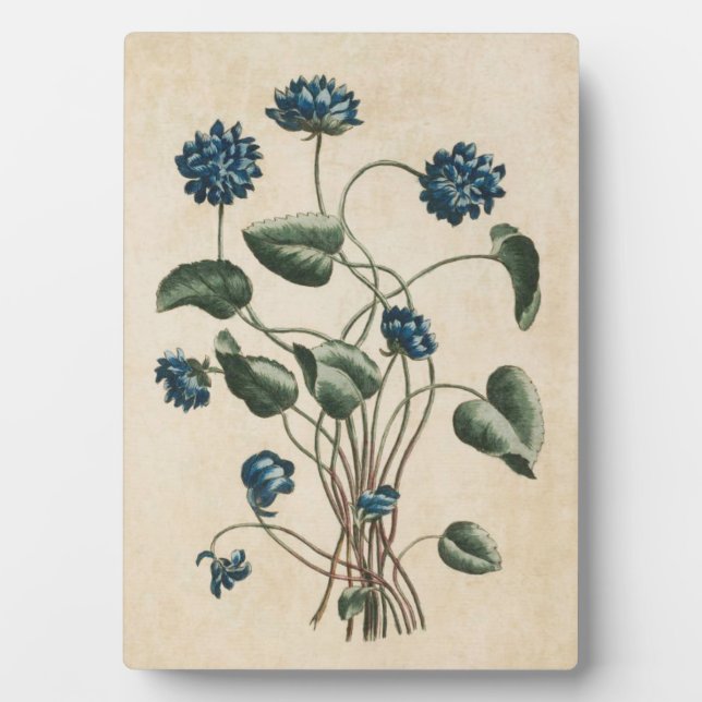 Plaque Photo Violets floraux vintages (Devant)