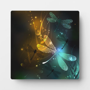 Plaque Photo Vol de libellule verte lumineuse