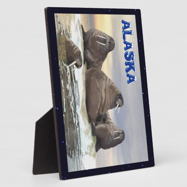 Plaque Photo Walrus - Quatre frères (Côté)