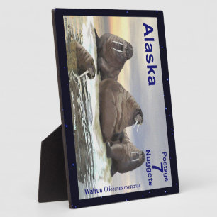 Plaque Photo Walrus - Quatre frères