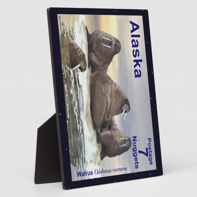 Plaque Photo Walrus - Quatre frères (Côté)