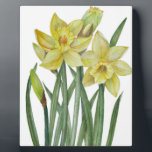 Plaque Photo Watercolor Daffodils Flower Portrait Illustration<br><div class="desc">Designed based on watercolor floral illustration of daffodils by Farida Greenfield. Beautiful and delicate yellow daffodils fluttering and dancing in the springtime with green foliage around them and some buds ready to bloom. Suitable for Easter and Mother's Day gift for your loved ones. Please check my collection for matching items....</div>
