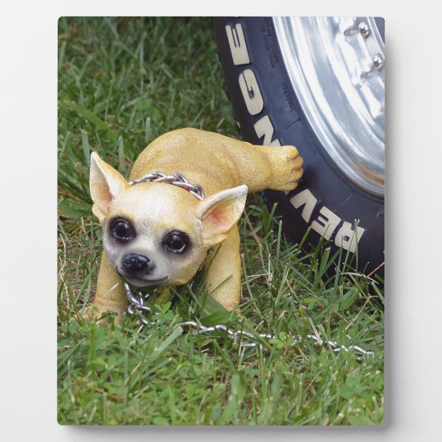 Plaque Photo Whiz Kid (Devant)