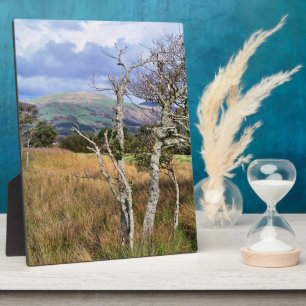 PLAQUE PHOTO WILD WALDS