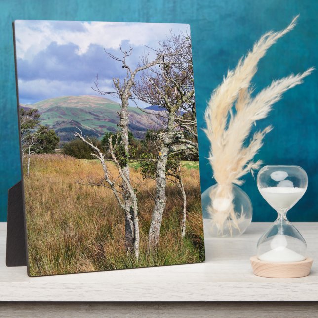 PLAQUE PHOTO WILD WALDS (Côté)