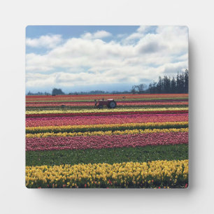 Plaque Photo Wooden Shoe Tulip Farm, Woodburn, Oregon