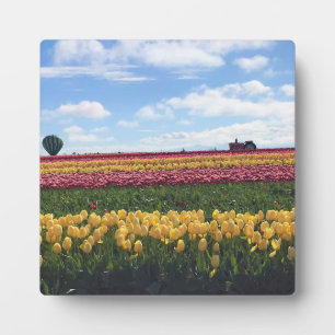 Plaque Photo Wooden Shoe Tulip Farm, Woodburn, Oregon