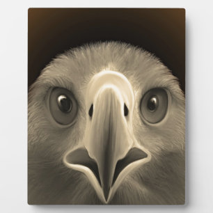 Plaque Photo Yeux de l'aigle