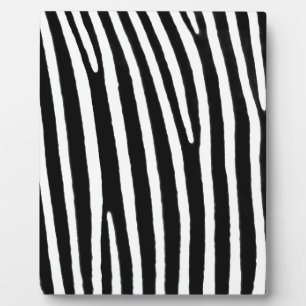 Plaque Photo Zebra poster de animal