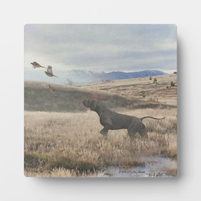 Plaque pointeur germanique (Devant)