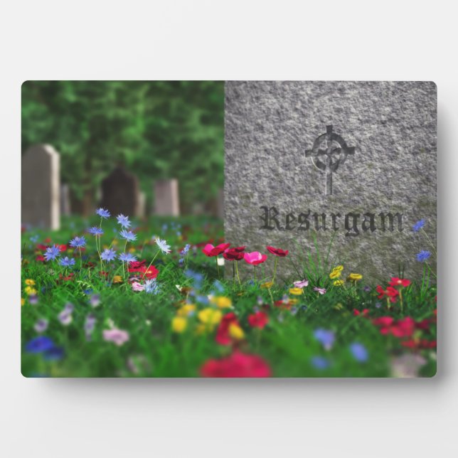 Plaque Resurgam (Devant)