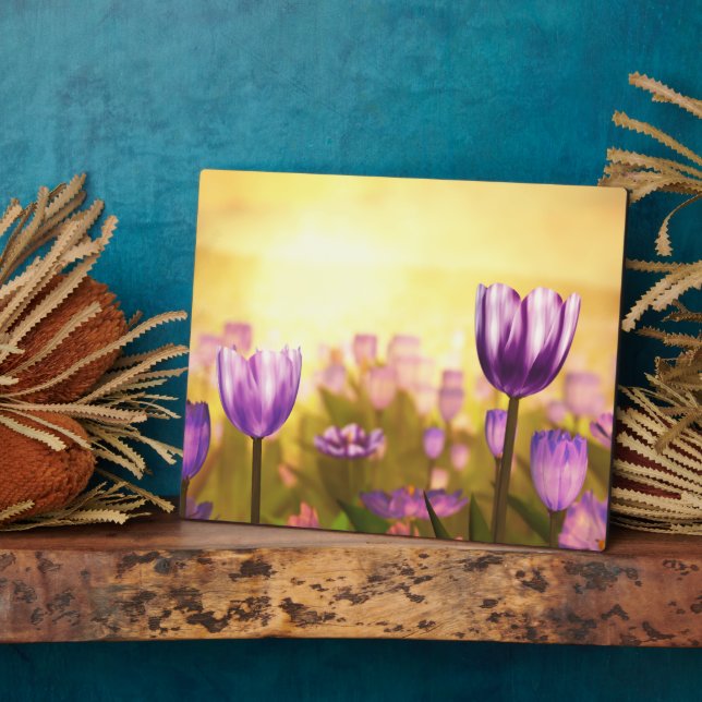 Plaque violette Jubilee (Côté)