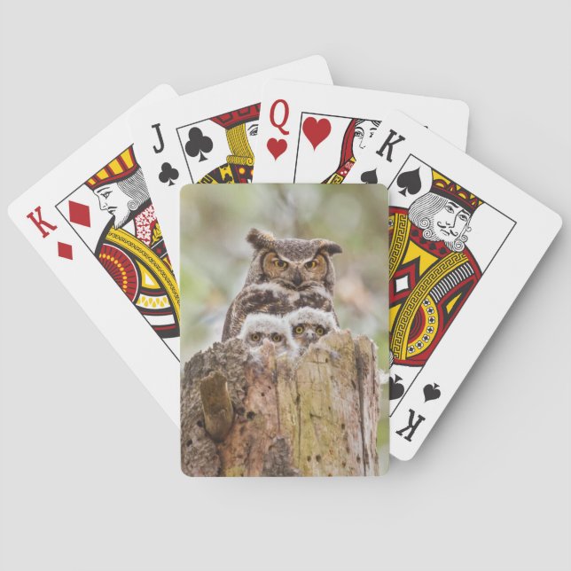 Plate-forme des cartes de jeu avec des hiboux (dos)