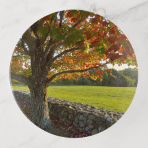 Plateau d'accessoires d'arbre d'automne Uncanoonuc