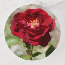 Plateau de rangement pour bibelots Rose Rouge Anti