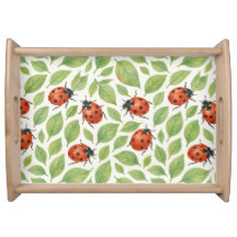 Feuilles et coccinelles