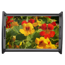 Fleurs orange jaune, noir, votre propre image