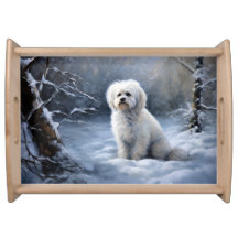 Maltais Laisser Neige Noël