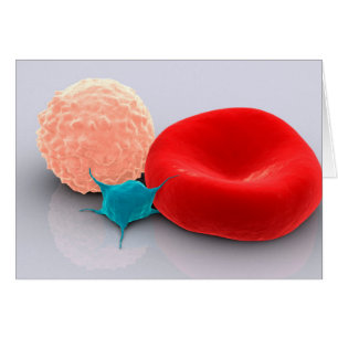 Platelet, Cellules De Sang Rouge Et Blanc