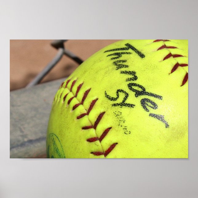 Play Ball! Affiche (Devant)