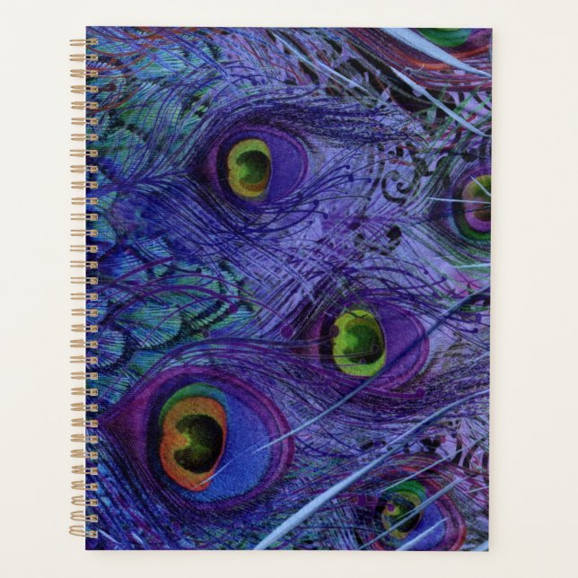 Playeur Peacock Bleu (Devant)