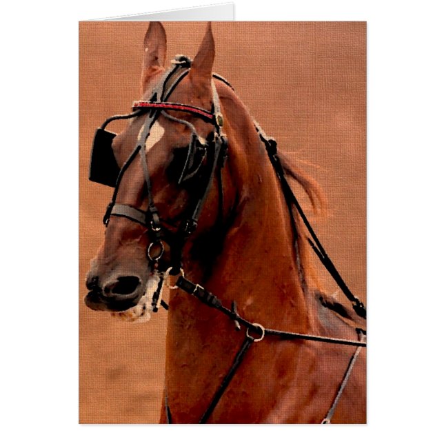 Pleasure Harness Saddlebred Art numérique (Devant)