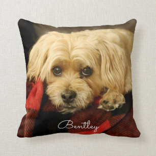 Plein plaid vert du coussin   de photo