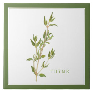PLEIN THYME 6x6 Carreaux en céramique (+texte) Ver