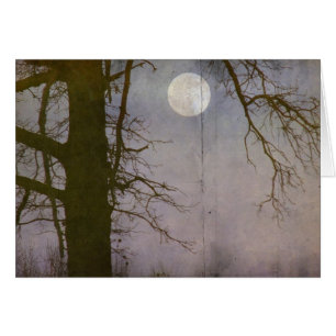 Pleine lune