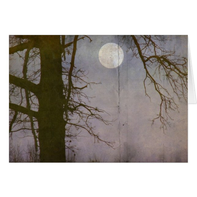 Pleine lune (Devant horizontal)