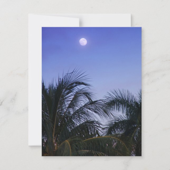 Pleine lune augmente (Devant)