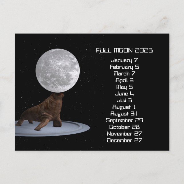 Pleine lune Calendrier Walrus 2023 Carte postale (Devant)