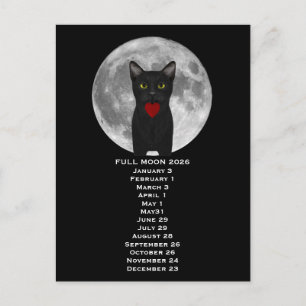 Pleine Lune Chat 2026 Carte Postale